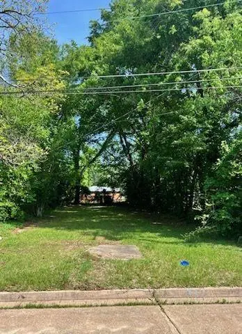 3312 Levin Street, Alexandria, LA 71301 - Image #2