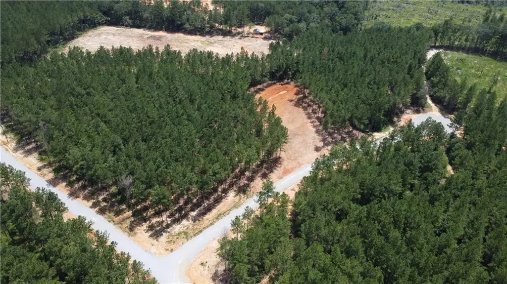 6.6 Acres Caro Lane, Franklinton, LA 70438 - Image #1