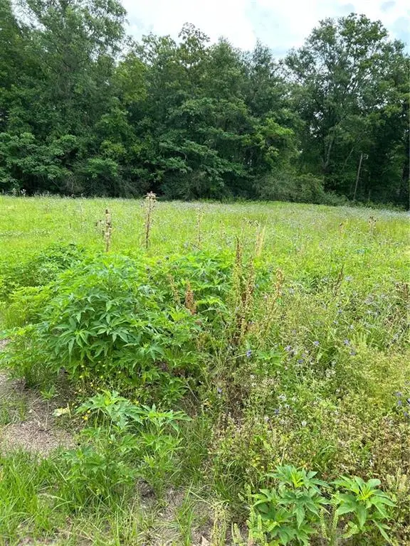 1010-12 Martin Luther King Drive, Hammond, LA 70401 - Image #2