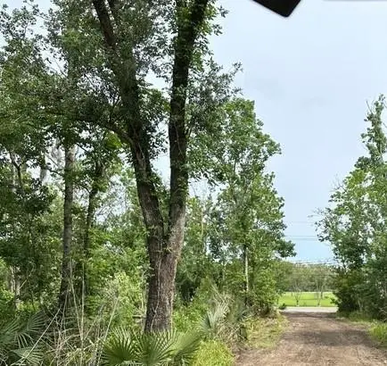 1309 Jean Lafitte Boulevard, Jean Lafitte, LA 70067 - Image #3