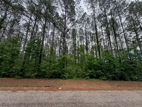 Newman Briggs Road, Kentwood, LA 70444