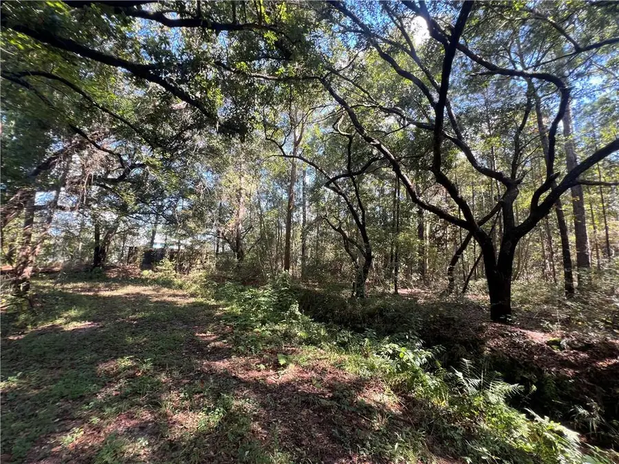 Lots 1-34 East Street, Slidell, LA 70461 - #3