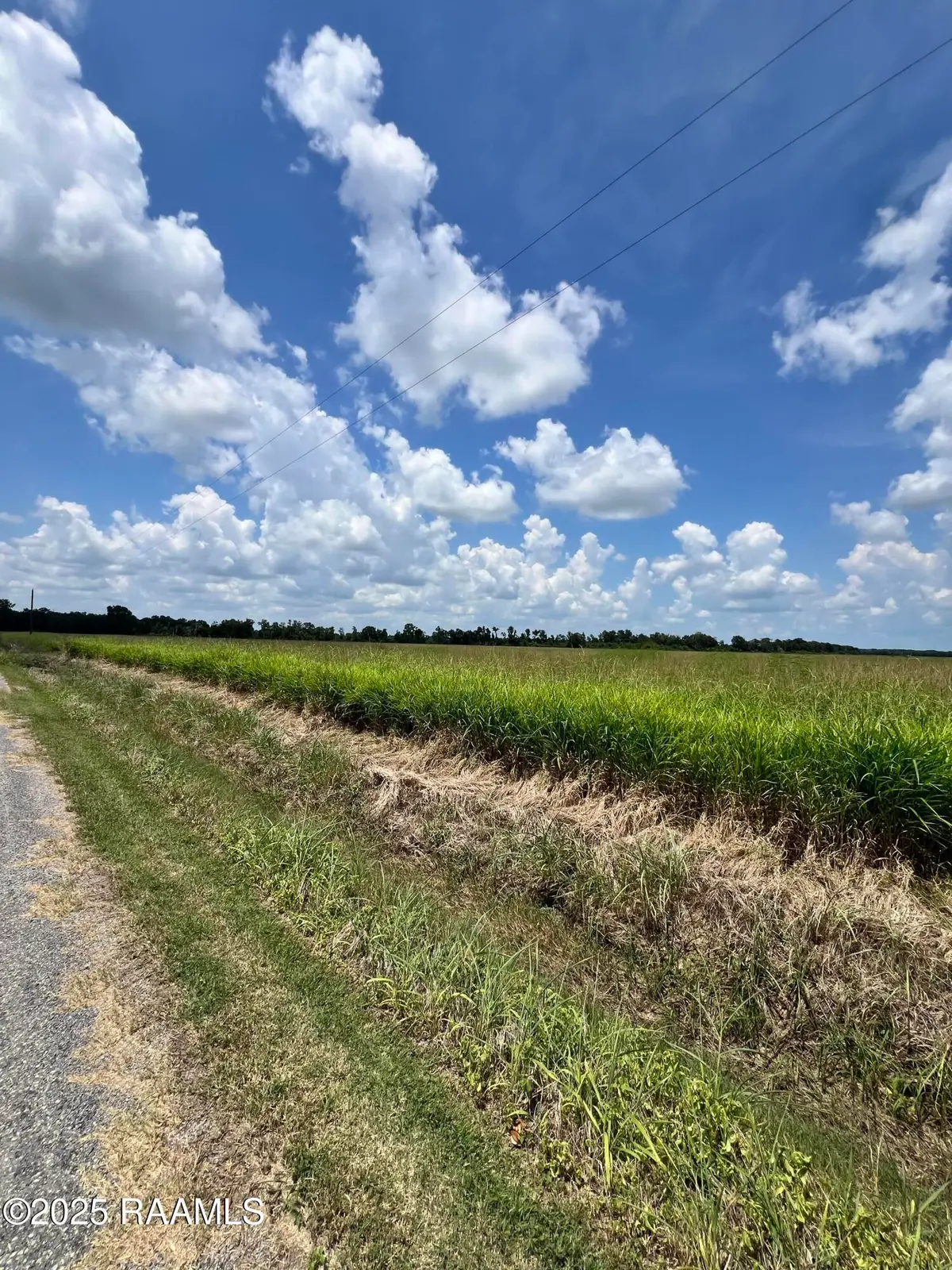 400 Blk Andrew Street, Church Point, LA 70525 - #1