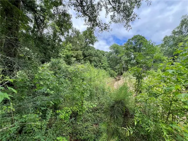 TBD Mike Cooper Road, Ponchatoula, LA 70454