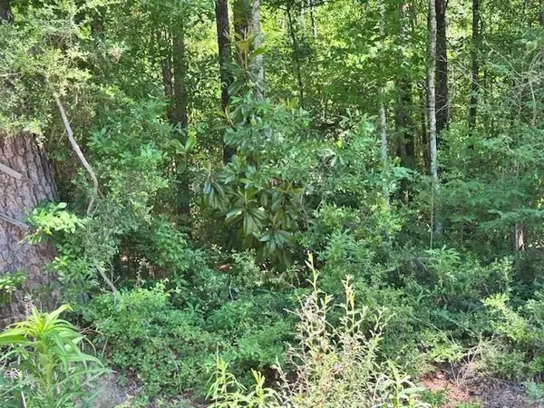 Adams Street, Bogalusa, LA 70427