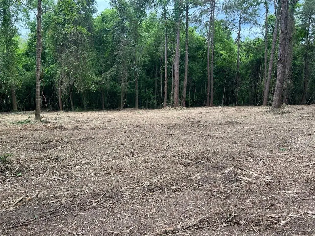 0 Dad Penton Road, Bush, LA 70431 - Image #1