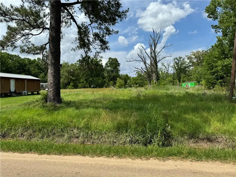 Roseland Avenue, Roseland, LA 70456 - Image #2