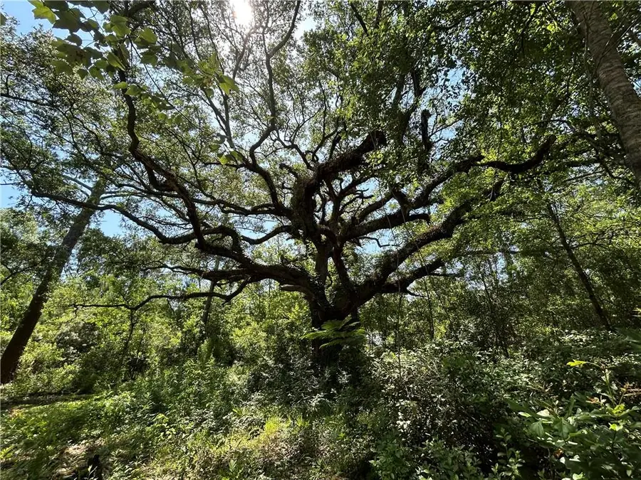 60368 Lake Road, Lacombe, LA 70445 - Image #2