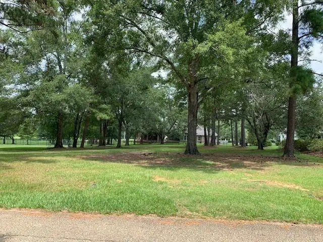 Lot 110 Chinawood Drive, Abita Springs, LA 70420 - Image #1
