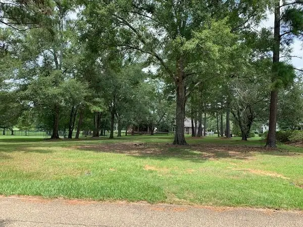 Lot 110 Chinawood Drive, Abita Springs, LA 70420