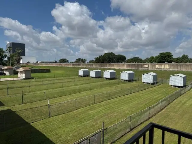 6262-6264 Bellaire Drive, New Orleans, LA 70124 - Image #2