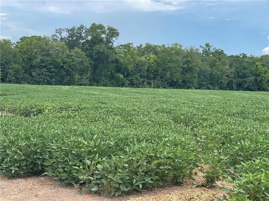 0 Highway 71 Highway, Colfax, LA 71417 - Image #3