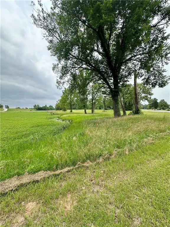 0 Lucy Belle Drive, Marksville, LA 71351 - Image #3