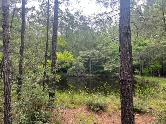 13050 Boyd Road, Covington, LA 70435 - Image #2