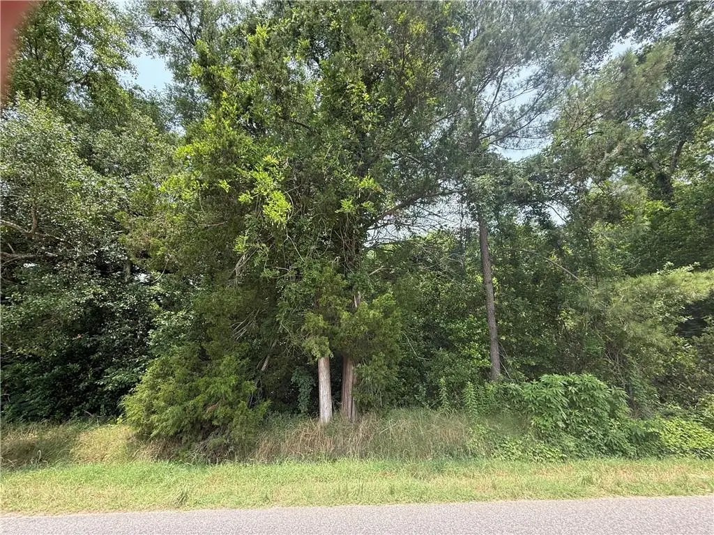 2310 England Drive, Alexandria, LA 71303 - #1