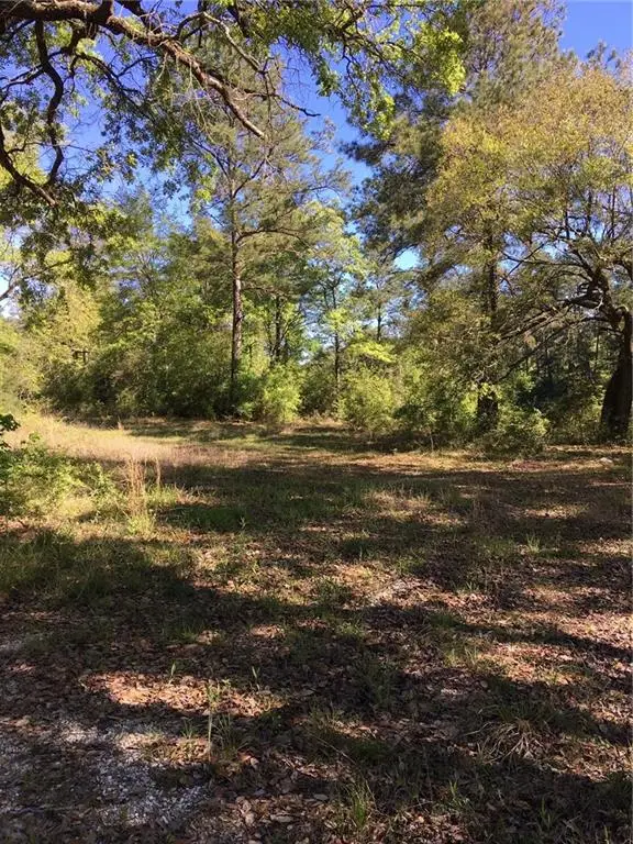 A-1 Lock One Road, Pearl River, LA 70452 - #1