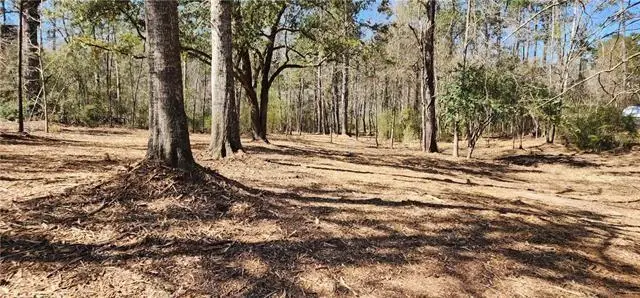 Lot 102 Bleu Lake Drive, Covington, LA 70435 - Image #1