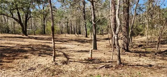 Lot 102 Bleu Lake Drive, Covington, LA 70435 - Image #2