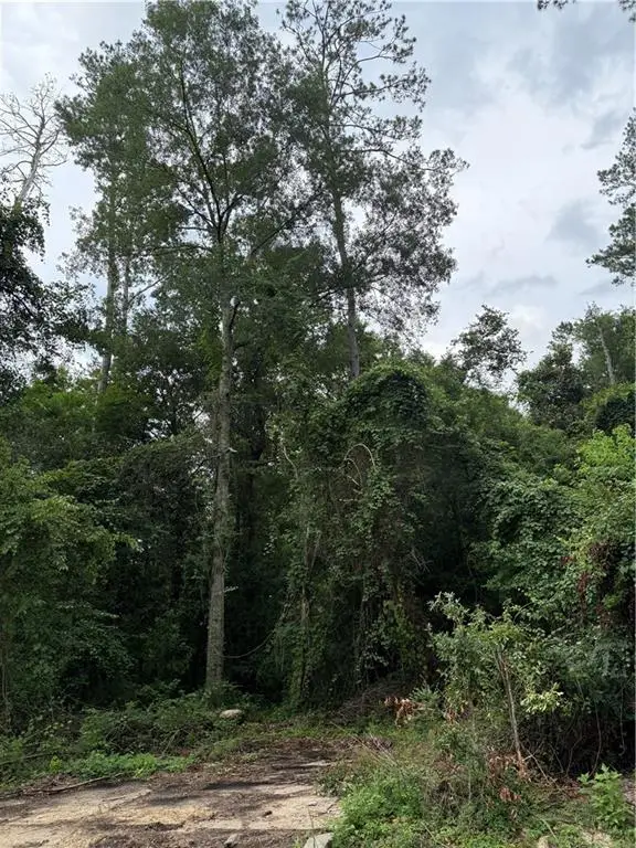 Lot 5-A E Pleasant Ridge Road, Hammond, LA 70403