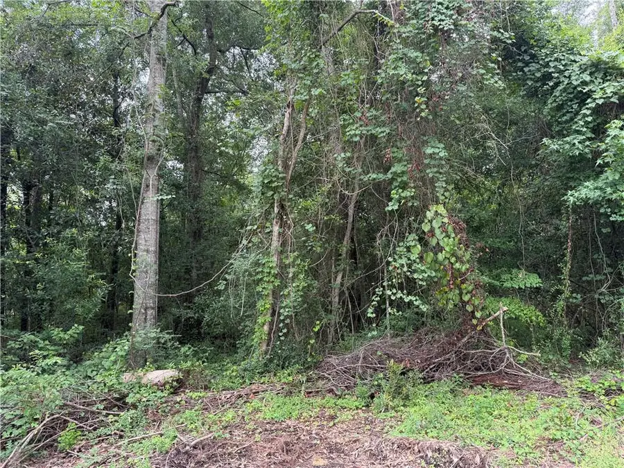 Lot 5-A E Pleasant Ridge Road, Hammond, LA 70403 - Image #3