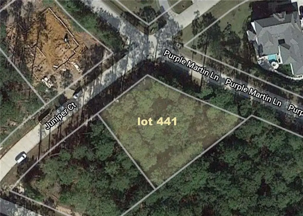 101 Juniper Court, Mandeville, LA 70471 - #1