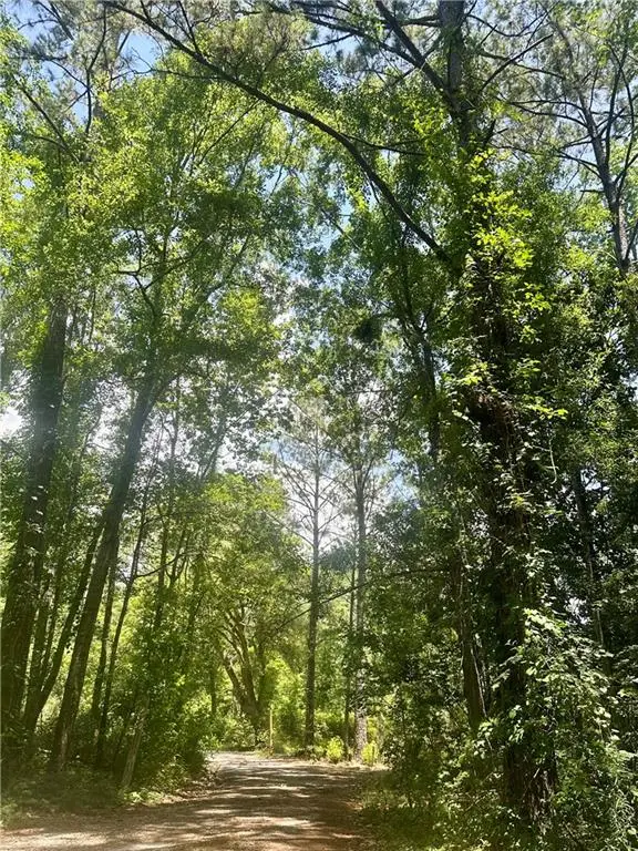 Harry Lemons Road, Mandeville, LA 70448 - Image #3