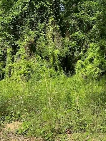 Chemekette Road, Robert, LA 70455 - Image #2