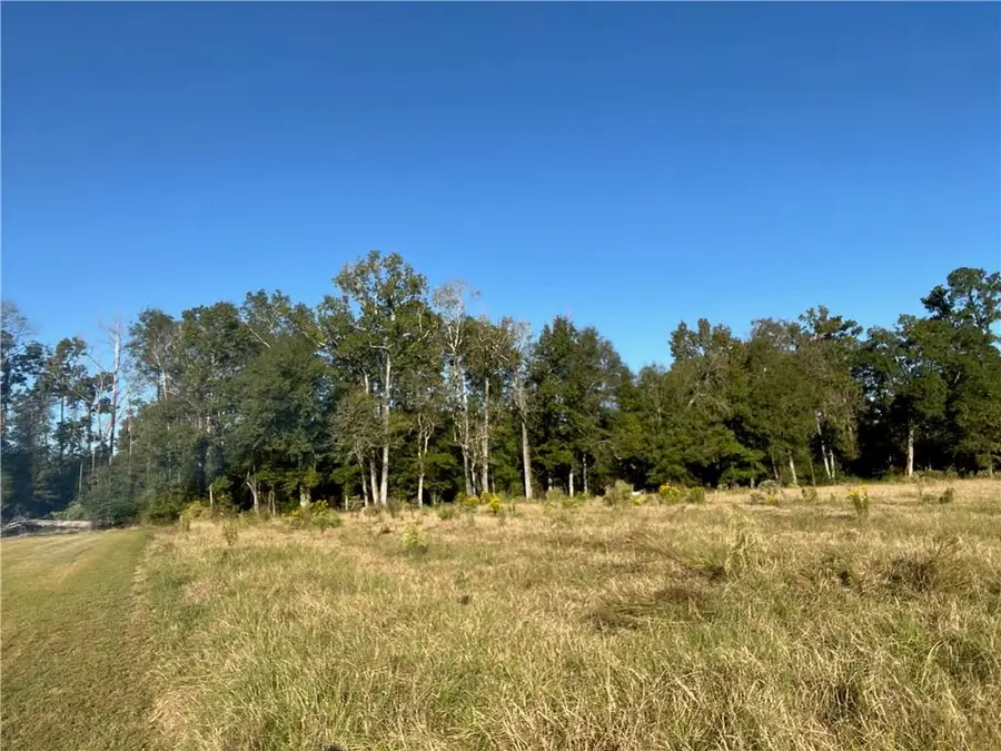 19085 Willie Lane, Livingston, LA 70754 - Image #2