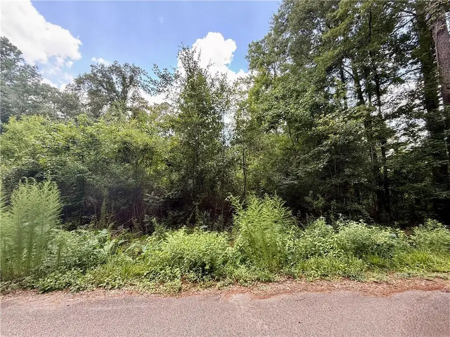 0 Lot 12 & 13 Gamma Avenue, Covington, LA 70435 - Image #2