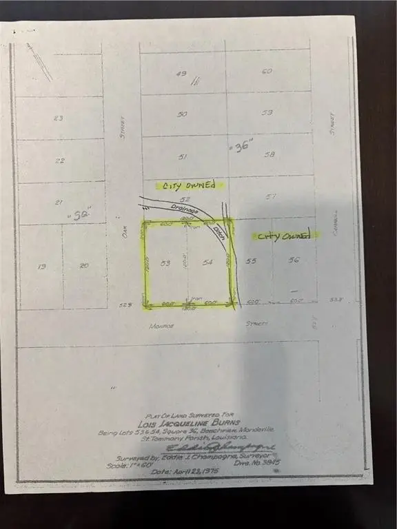 2221 Monroe Street, Mandeville, LA 70448 - #3