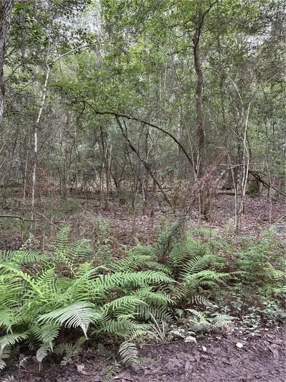 Holly Lane, Covington, LA 70435 - Image #3