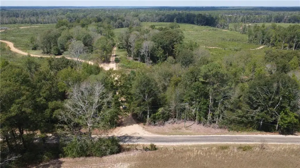 232 Acres Chess Bankston Road, Franklinton, LA 70438 - Image #1