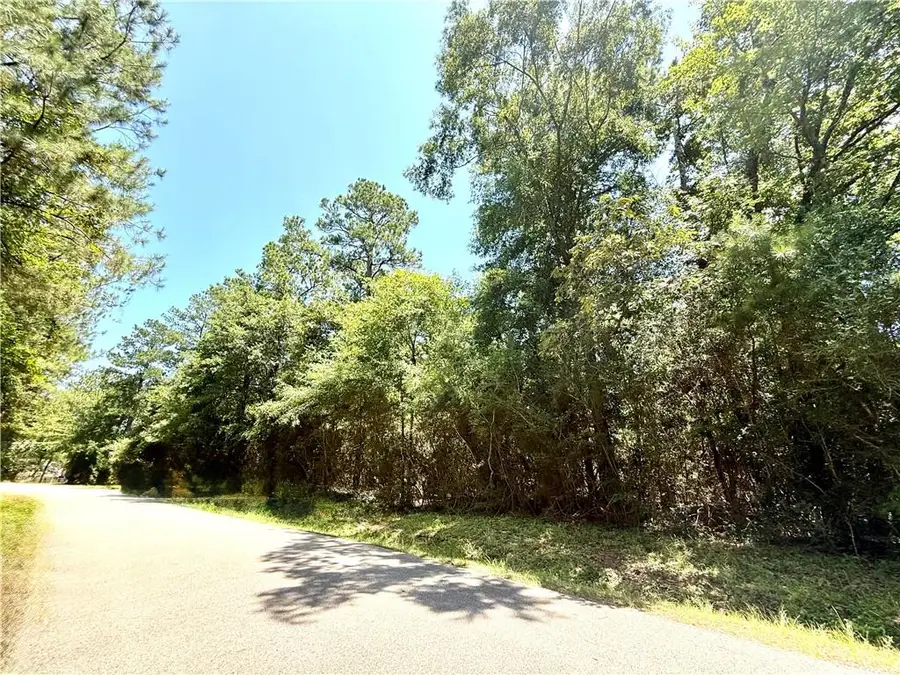 Lot 103 Lake Choctaw Drive, Franklinton, LA 70438 - Image #3