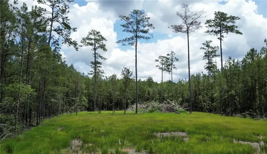 35072 La-43 Highway, Independence, LA 70443 - Image #3