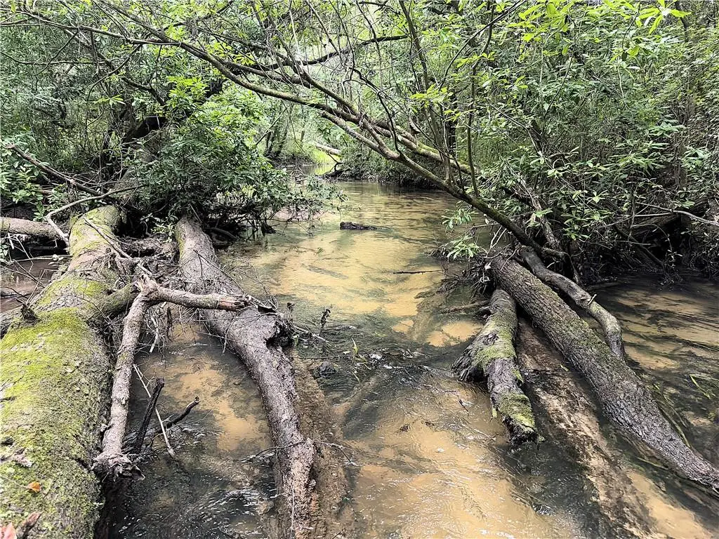 37.6 Acres House Creek Road, Bush, LA 70431 - #1