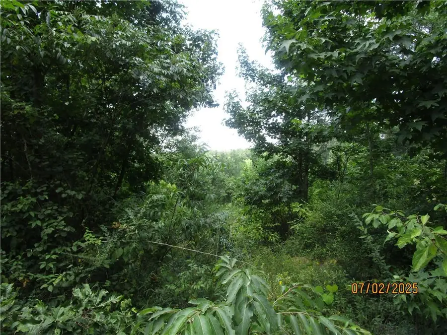 0 Cold Branch Road, Colfax, LA 71417 - Image #2