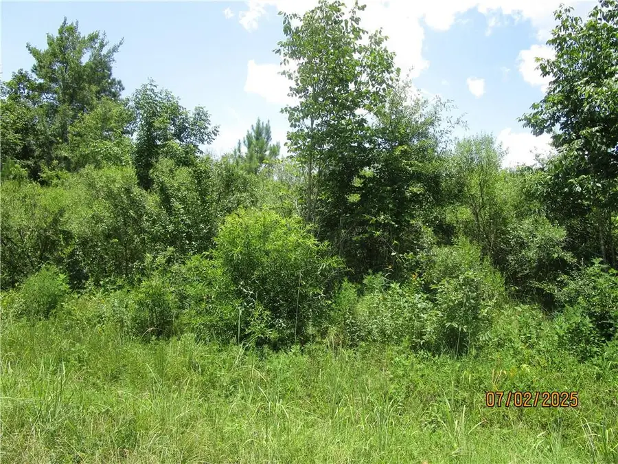 0 Cold Branch Road, Colfax, LA 71417 - Image #3