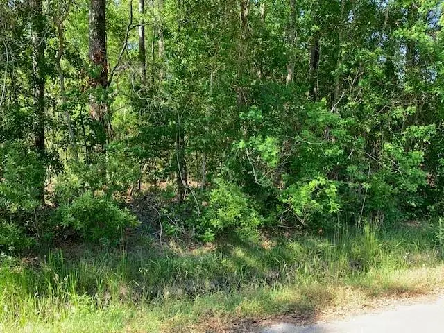 0 W Timberline Drive, Slidell, LA 70460 - Image #2