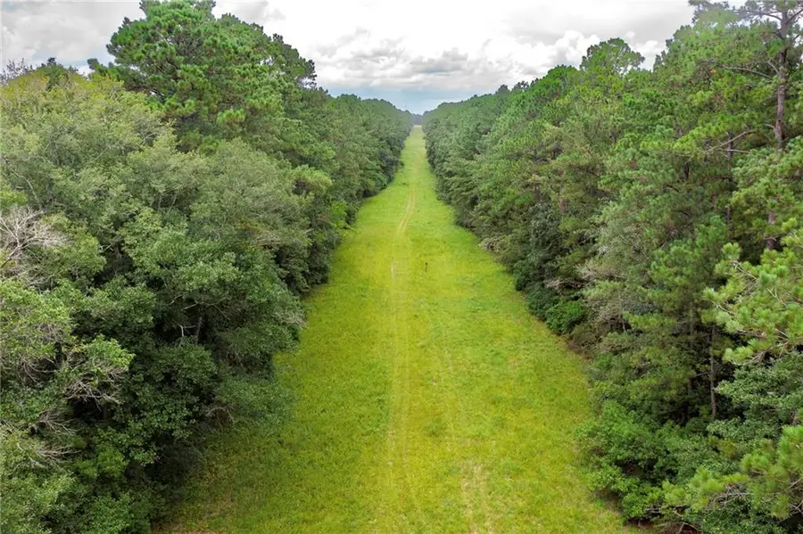 8.73 Acres Wonie Cousin Road, Lacombe, LA 70445 - Image #3