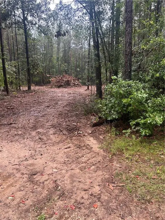 South Bennett Road, Independence, LA 70446 - Image #2