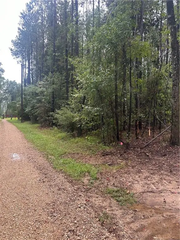 South Bennett Road, Independence, LA 70446 - Image #3