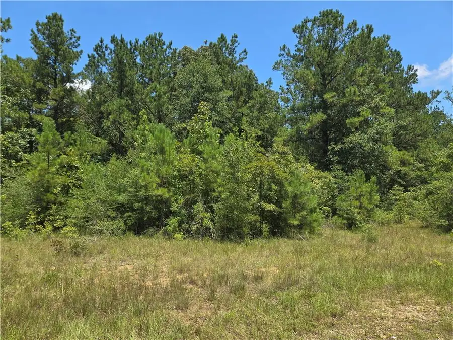 0 Cressionnie Road, Carriere, MS 39426 - Image #2