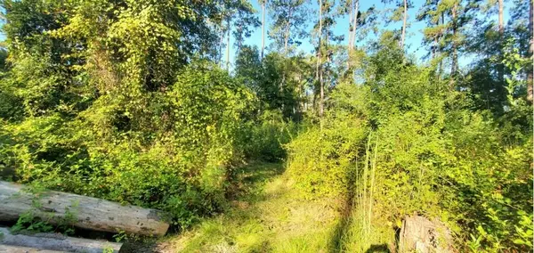 29260 Paquet Road, Lacombe, LA 70445