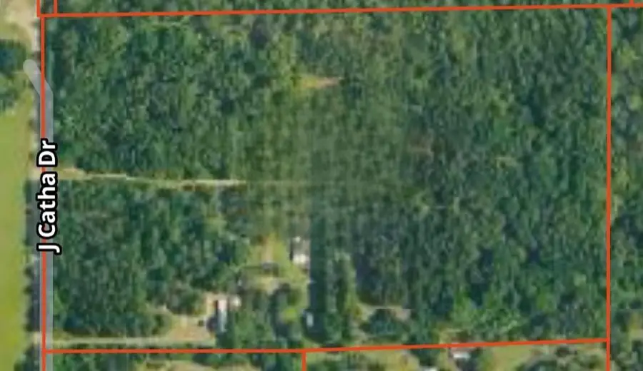 64450 J. Catha Drive, Amite, LA 70422 - Image #2