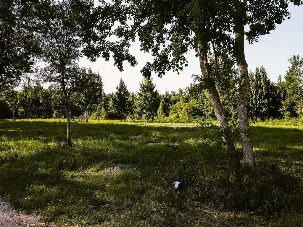 0 Johnny Coco Road, Mansura, LA 71350 - Image #1