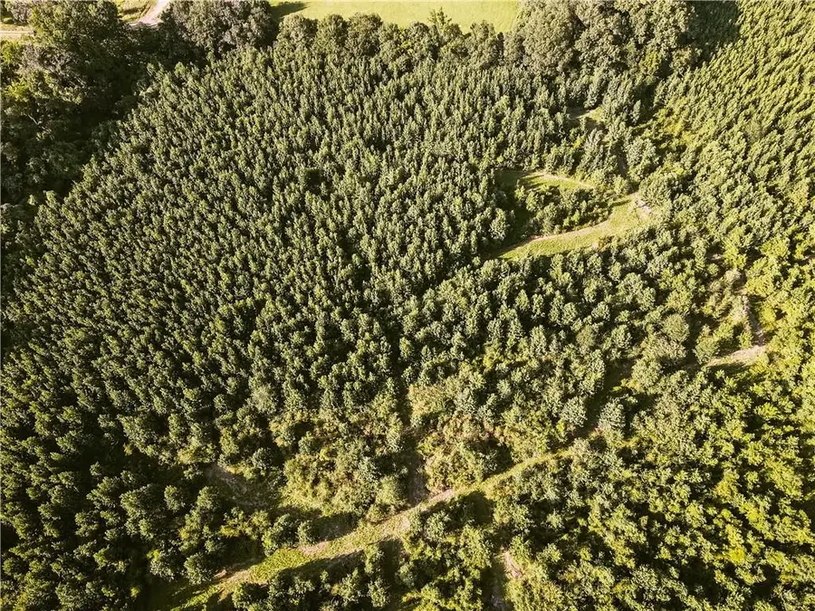 0 Johnny Coco Road, Mansura, LA 71350 - Image #2