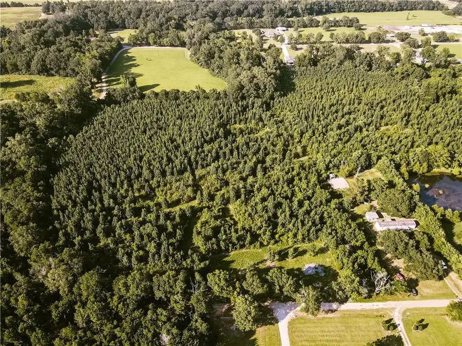 0 Johnny Coco Road, Mansura, LA 71350 - Image #3