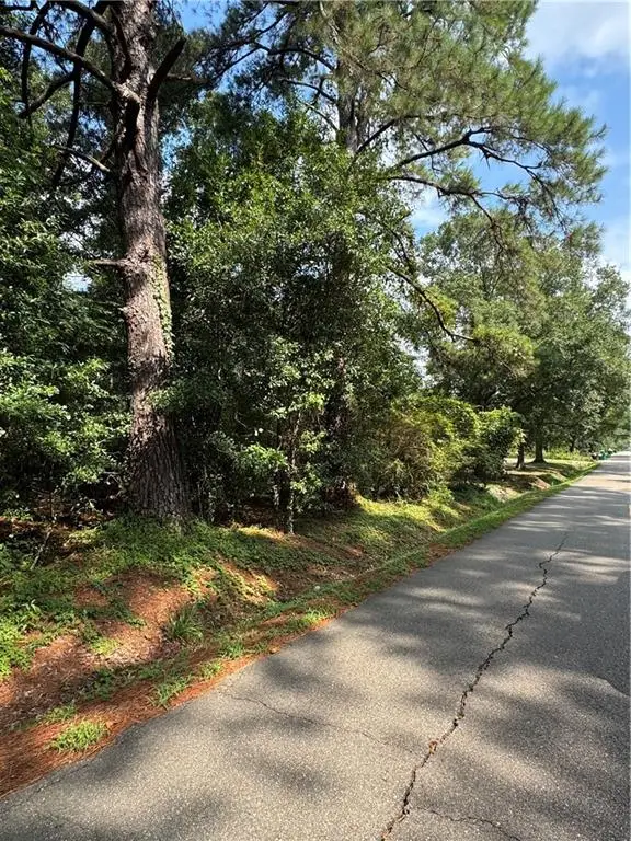 TBD W Yellow Water (5.10 Acres) Road, Hammond, LA 70403 - Image #3