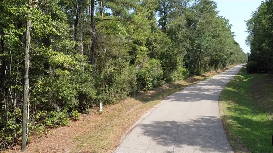 102 Acres Bruhl Road, Folsom, LA 70437 - Image #3