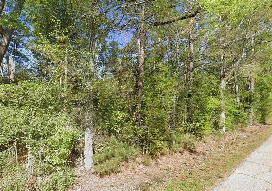 Robert Road 41 Acres Road, Hammond, LA 70403 - Image #2